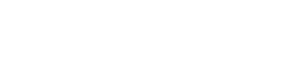 Financiado por la Union Europea